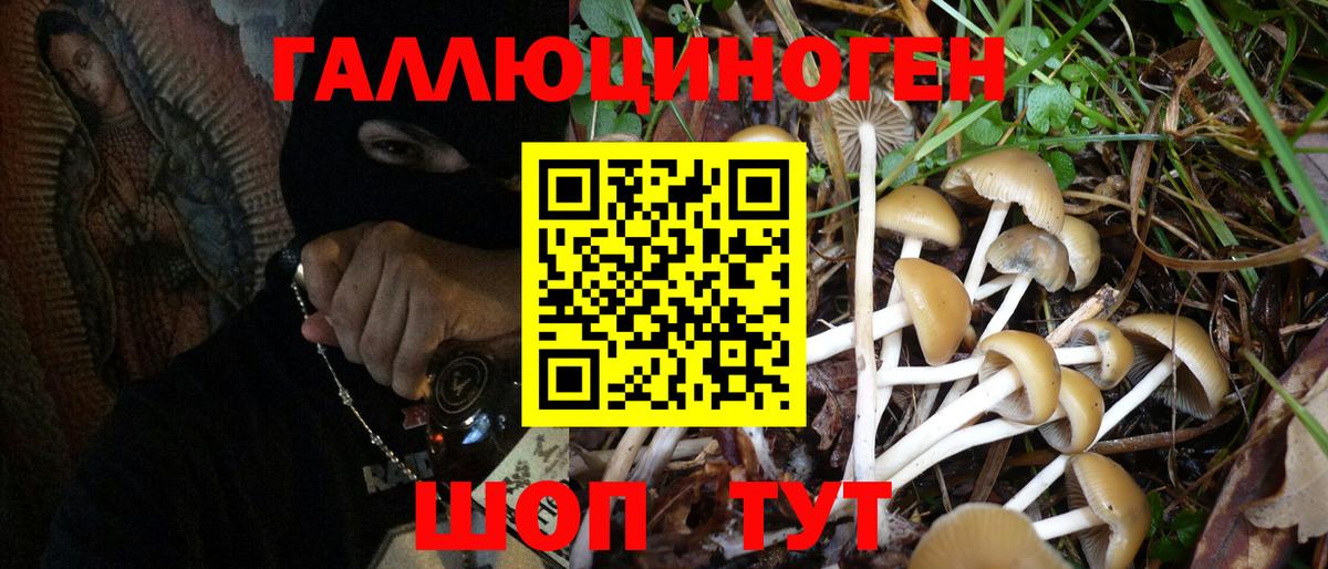 Псилоцибиновые грибы GOLDEN TEACHER Корсаков
