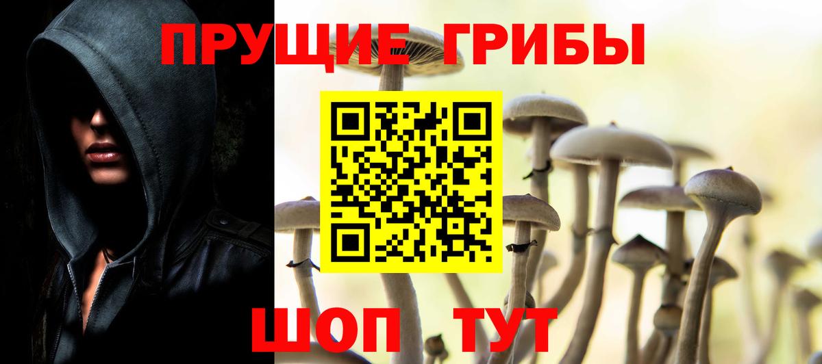 цены наркотик  Псилоцибиновые грибы Magic Shrooms  Вход с VPN  Корсаков 